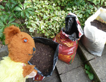 Yellow Teddy with bags of home made compost