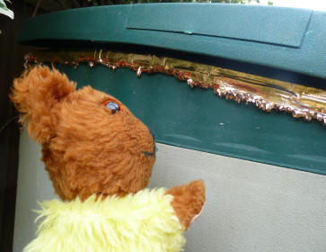 Yellow Teddy with copper tape against snails - checking for gaps