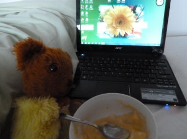 Yellow Teddy with netbook and apple mango snack