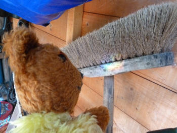 Yellow Teddy with rainbow on broom