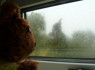 Yellow Teddy with wet spider web outside window