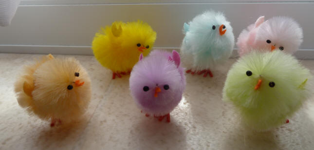 Closeup of Easter chicks