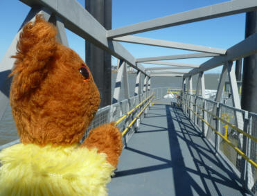 Yellow Teddy on Gravesend Town Pier pontoon