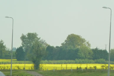 Green fields and scenery