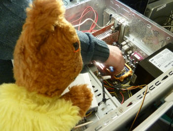Yellow Teddy helping repair computer