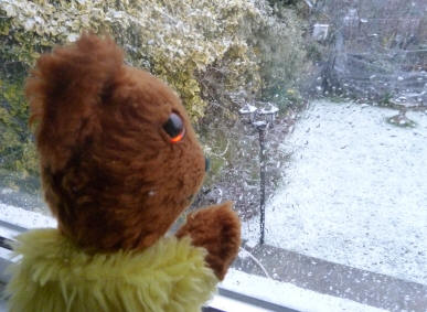 Yellow Teddy with snow through window