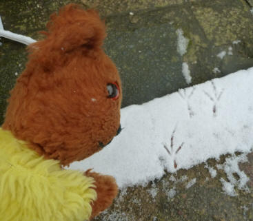 Yellow Teddy with snow bird prints