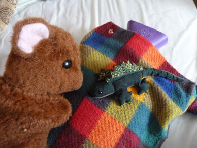 Brown Teddy with beanbag dinosaur on hot water bottle
