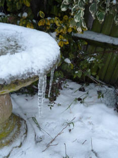 Icicles on birdbath