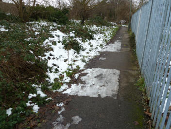 Squares of ice on path