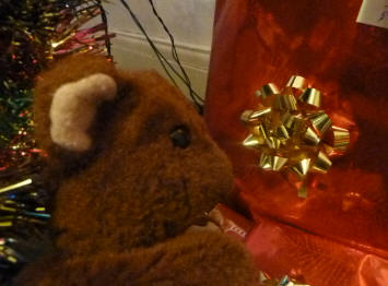 Brown Teddy with gold bow