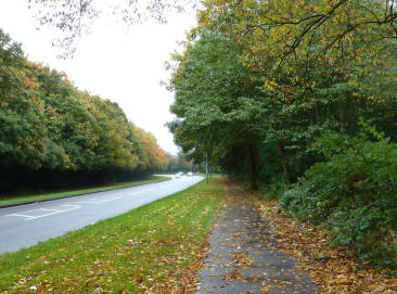 Sevenoaks Road at Green Street Green