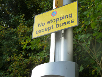 Bus stop sign with spider