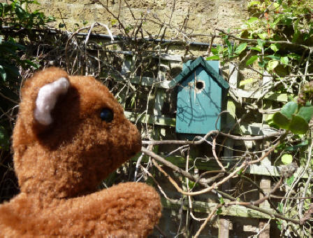 Hall Place bluetit box