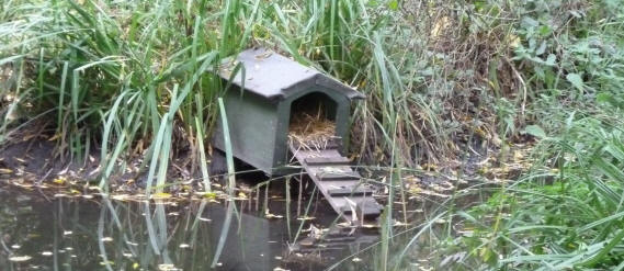 Duck house