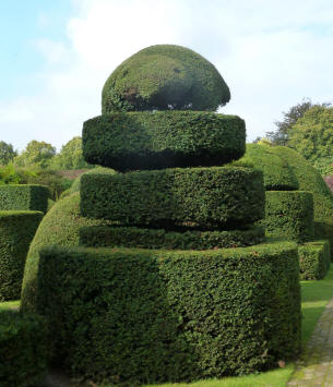 Hall Place topiary