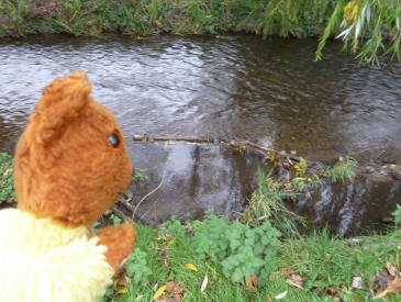 Hall Place River Cray