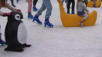 Ice rink - penguin and sledge