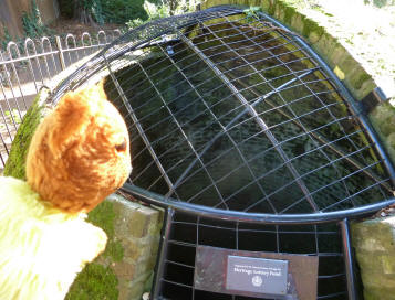 Looking into ice house