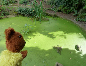 Well Hall Pleasaunce bog pool