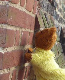 Leaning wall - Yellow Teddy