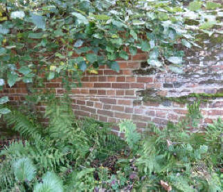 Back of wall with sloping bricks