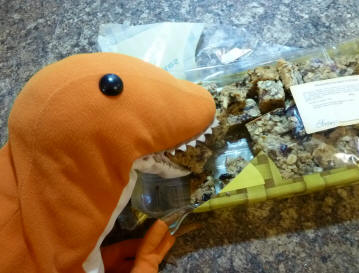 Dino with flapjack Cake Mistakes