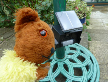 Yellow Teddy with solar powered cat scarer