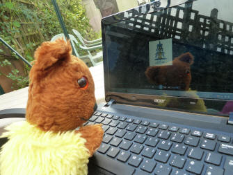 Working in the greenhouse