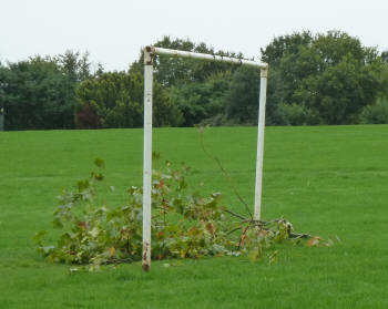 Branch in goalpost