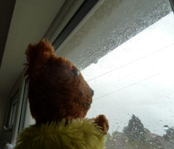 Heavy rain at the window