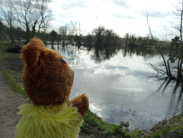 Brooklands Lake