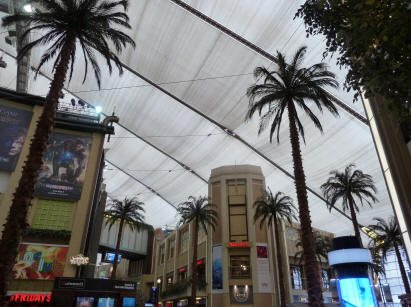 Palms and restaurants inside Dome