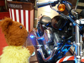 Yellow Teddy with Harley Davidson motorbike