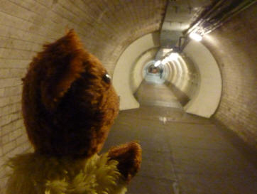 Yellow Teddy looking down the footpath tunnel