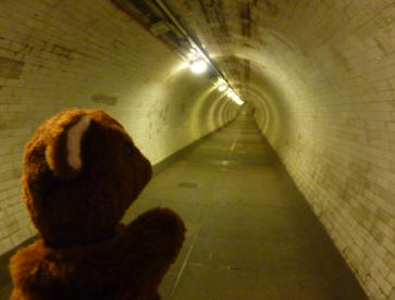Brown Teddy looking down the footpath tunnel
