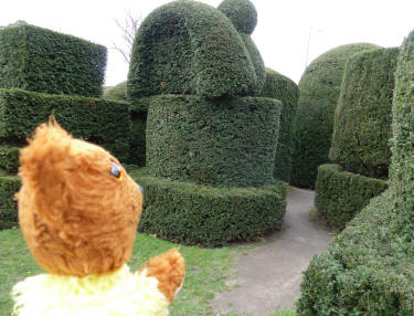 Yew topiary