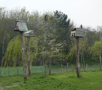 Duck nesting boxes on high poles