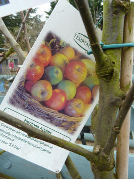 Apple tree label