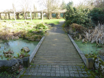 Bridge over bog garden