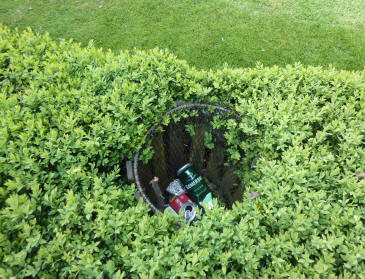 Waste bin hidden in box hedging