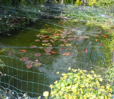 Fishpond netting