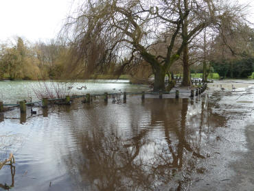 Priory Park pond