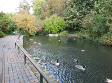 Kelsey Park