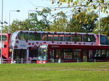 Crystal Palace poppy bus