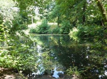 Danson pond 2