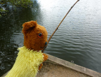 Teddy fishing with stick