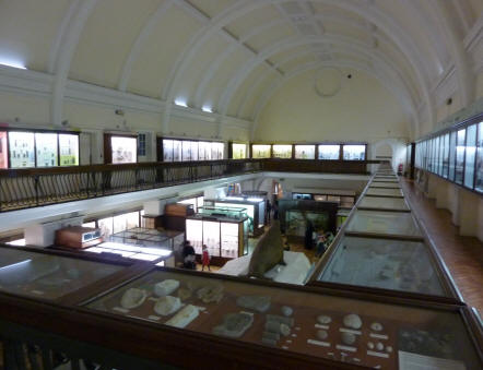 Natural History hall