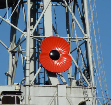 Warship poppy