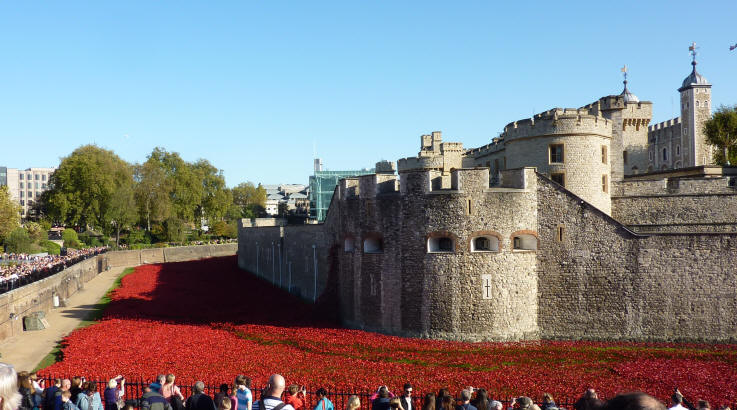 Tower of London poppies